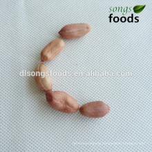 High protein groundnuts wholesaler